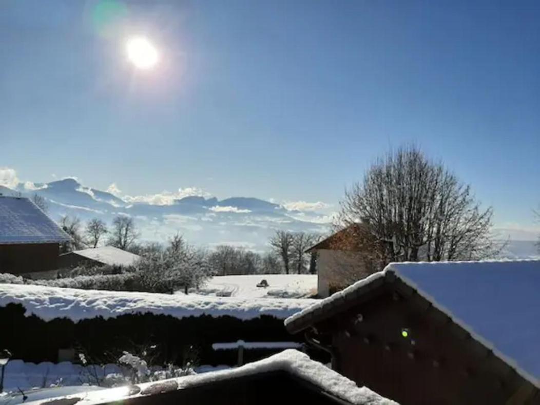 5 Min Des Pistes De Ski Grand Studio Mezzanine Viuz-en-Sallaz Eksteriør billede