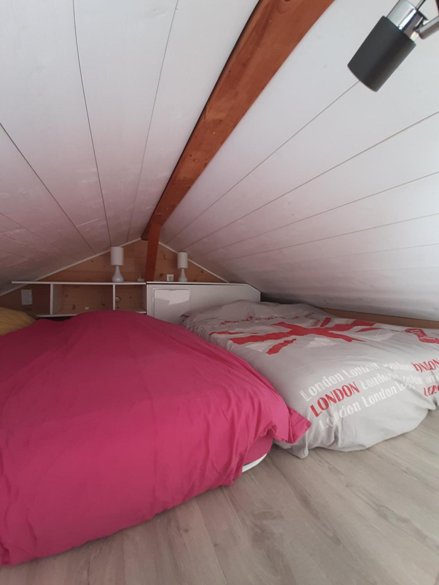 5 Min Des Pistes De Ski Grand Studio Mezzanine Viuz-en-Sallaz Eksteriør billede